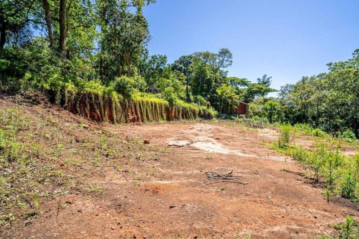 A view of the sloped, cleared residential land featuring a natural retaining bank and surrounding mature trees.