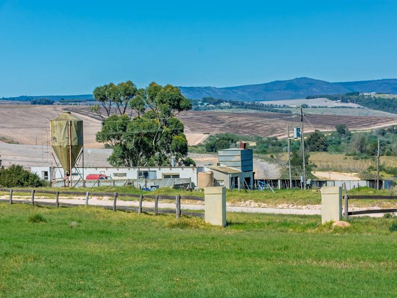 Crop Farm with Registered Irrigation Rights - Photo 10