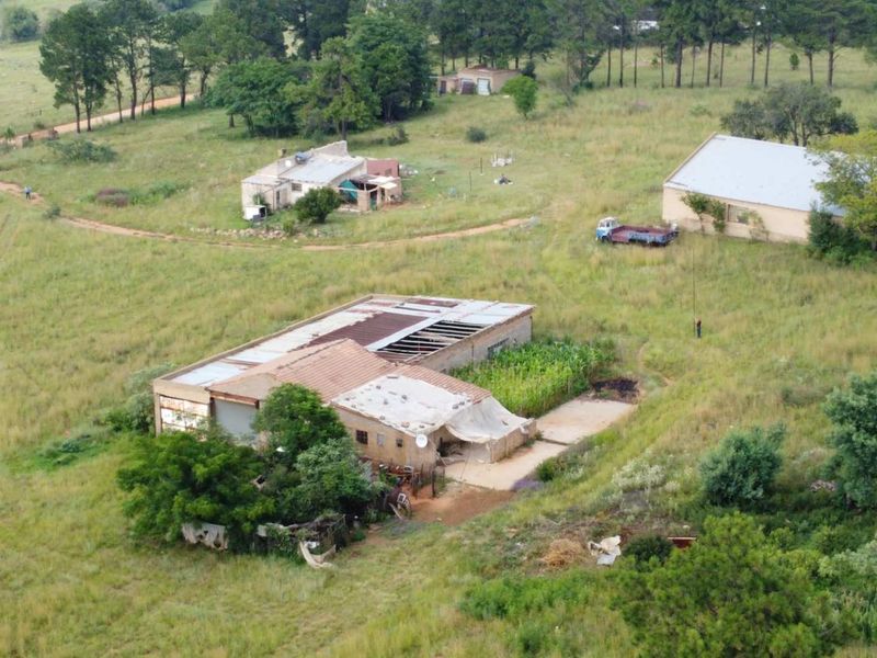 This Beautiful Stand/Farm is situated in the Heart of The Cradle of Humankind. - Photo 9