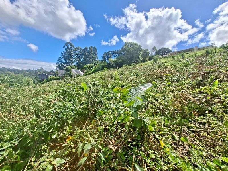 Prime Vacant Land Opportunity - Photo 7