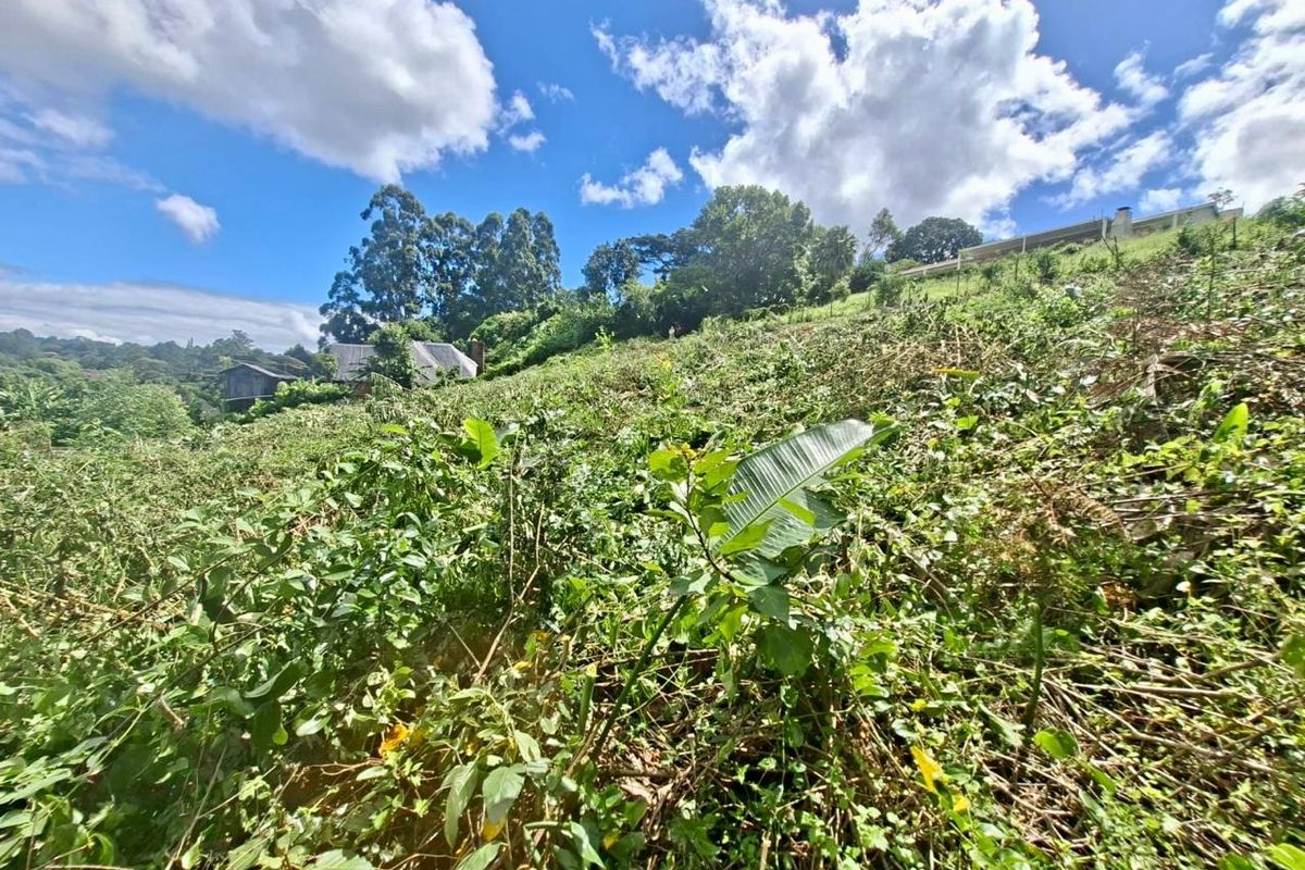 Prime Vacant Land Opportunity - Photo 5