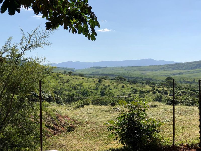 The Perfect Retreat: Farm Life Close to Tzaneen! - Photo 2