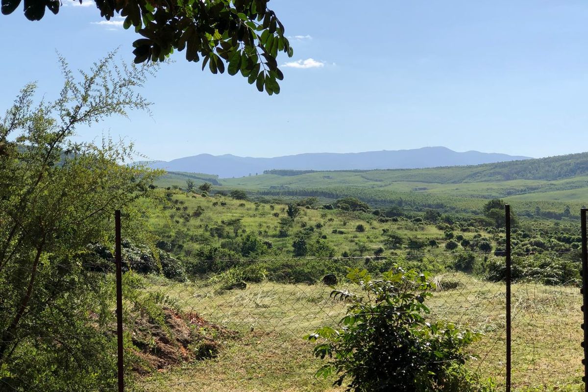 The Perfect Retreat: Farm Life Close to Tzaneen! - Photo 2