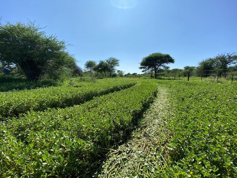 A Rare Opportunity to Own Your Dream Farmland! - Photo 6