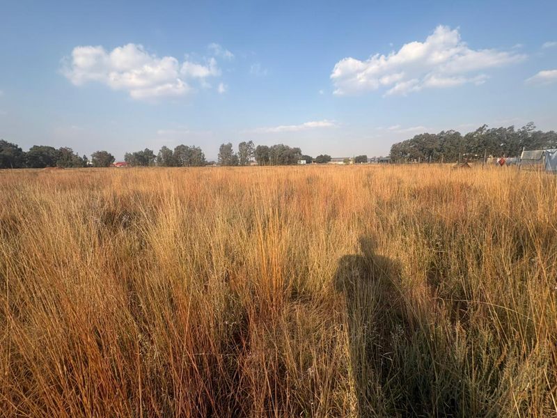 Vacant Land with Endless Potential - Photo 2