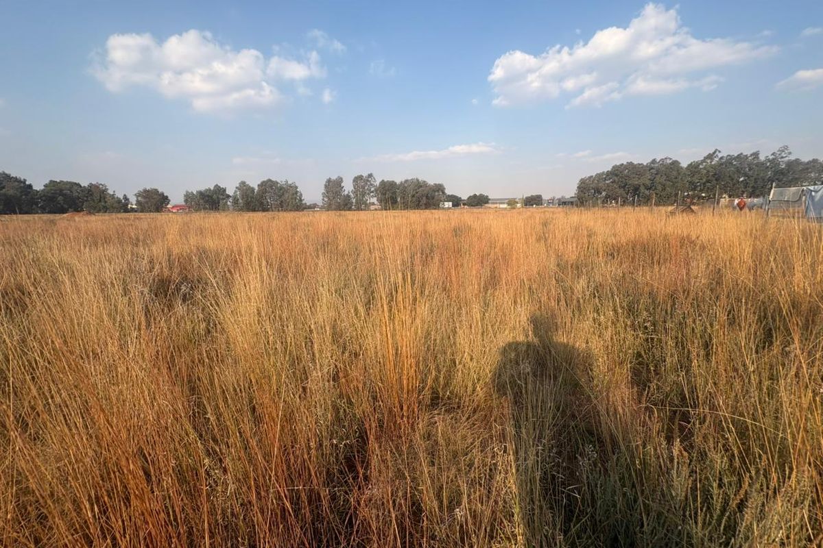 Vacant Land with Endless Potential - Photo 2