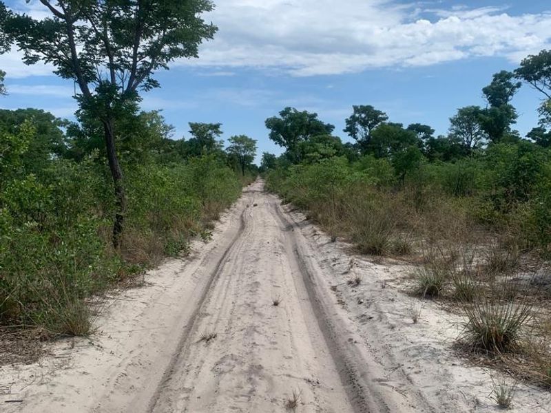 Unlock the Wild – Live the Farm Life! - Photo 9