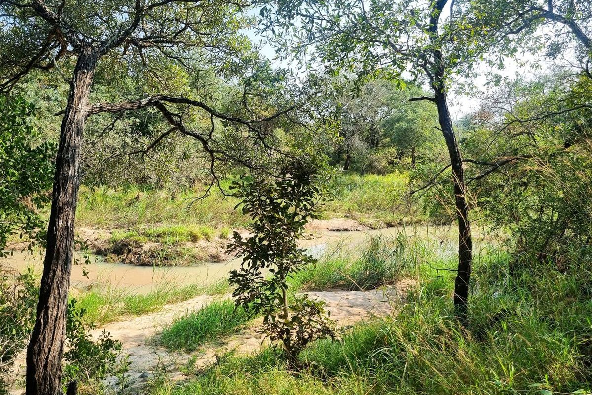 1.9-hectare riverfront stand for sale in Moditlo Wildlife Estate - Photo 3