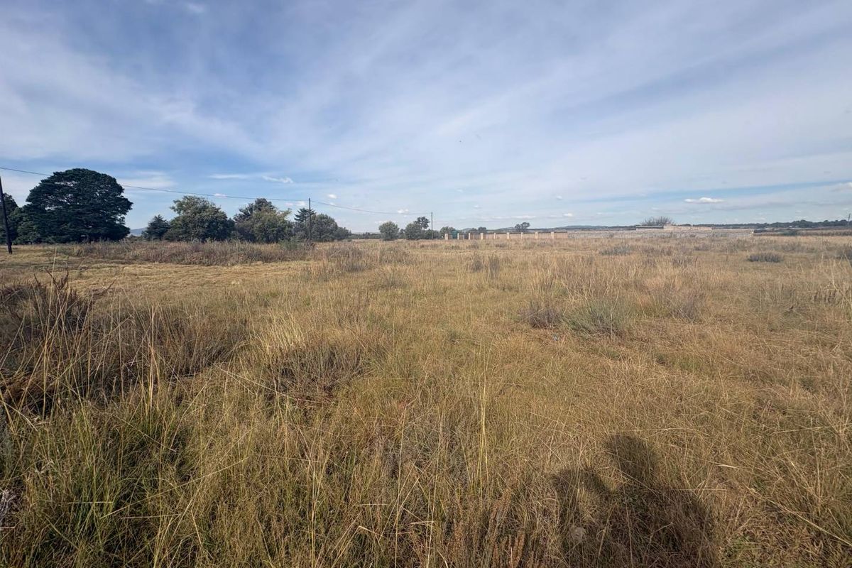 Prime Vacant Land in Sought-After Henley on Klip - Photo 4