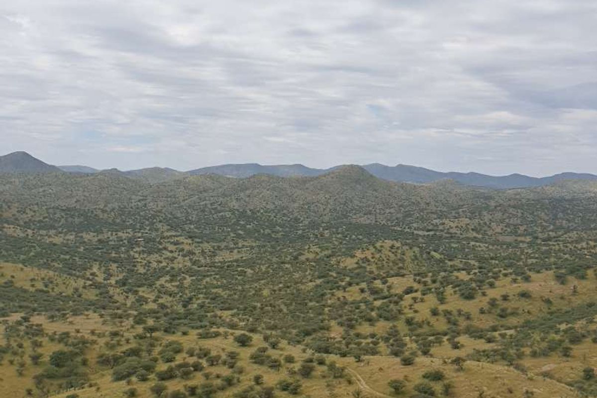 VACANT LAND FOR SALE - Photo 2