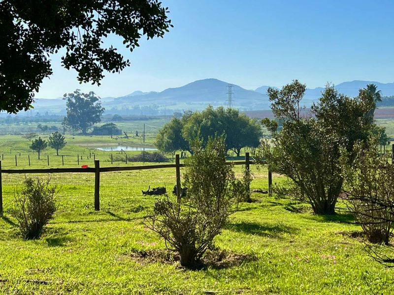 Rural charm meets opportunity - Photo 5