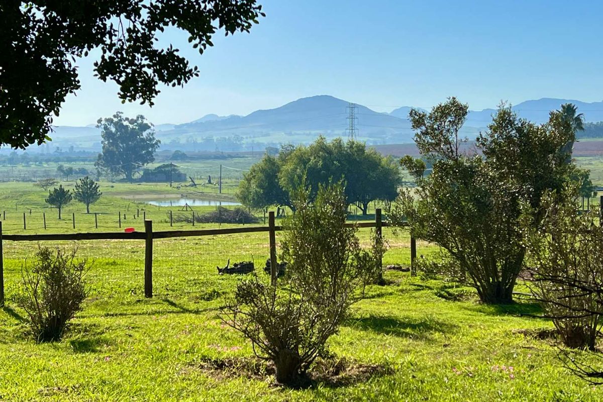 Rural charm meets opportunity - Photo 5