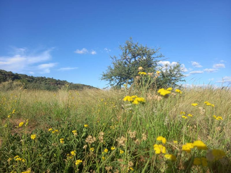 FIRST OF THE GRID MANAGED NATURE ESTATE - NISH LIVING - Photo 5