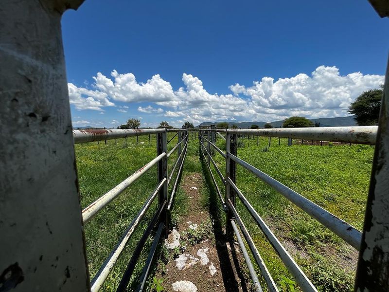 Hashtag Home proudly introduces this plot in an exclusive agricultural development just outside Otavi — a region well-known for its exceptional farming potentia - Photo 4