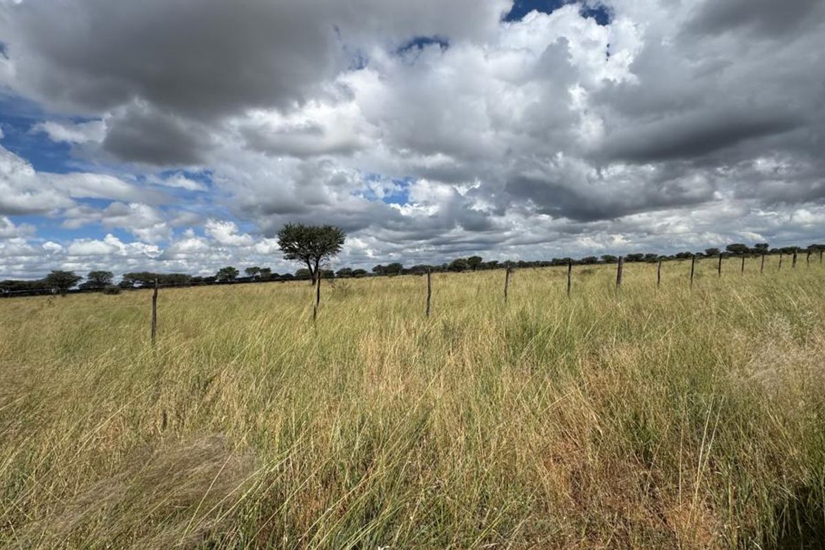 This impressive 4,100-hectare farm, strategically divided into 22 well-equipped camps, offers an exceptional opportunity for serious farming and investment. - Photo 5