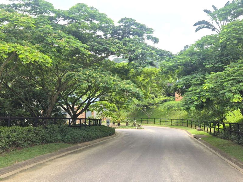 A well-maintained residential street featuring mature trees, manicured verges, and post and rail fencing along the roadside.