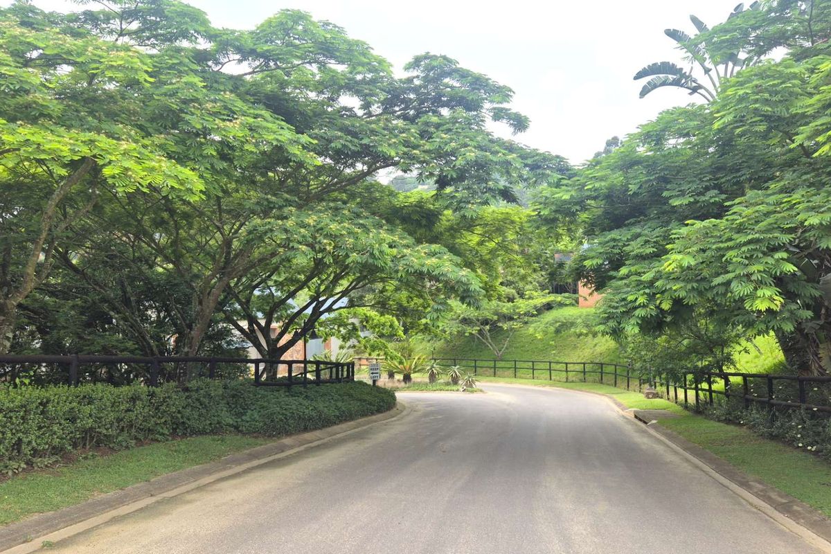 A well-maintained residential street featuring mature trees, manicured verges, and post and rail fencing along the roadside.