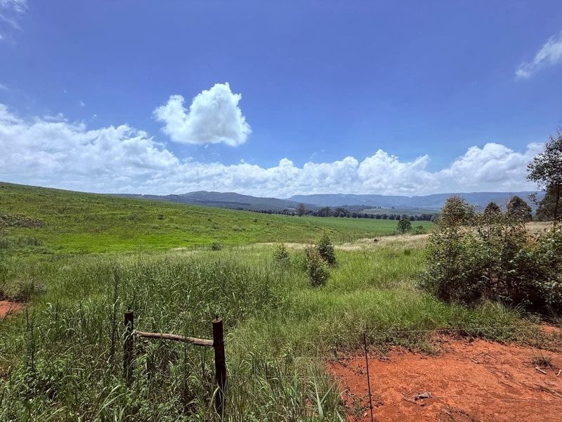 20ha Timber Farm in Karkloof with Valley and Farmland Views - Photo 7