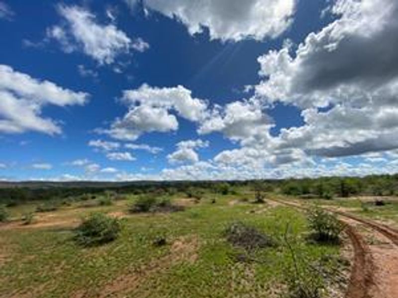 Expansive rural landscape view featuring natural vegetation and a dirt track, showcasing the open terrain of the farm property.