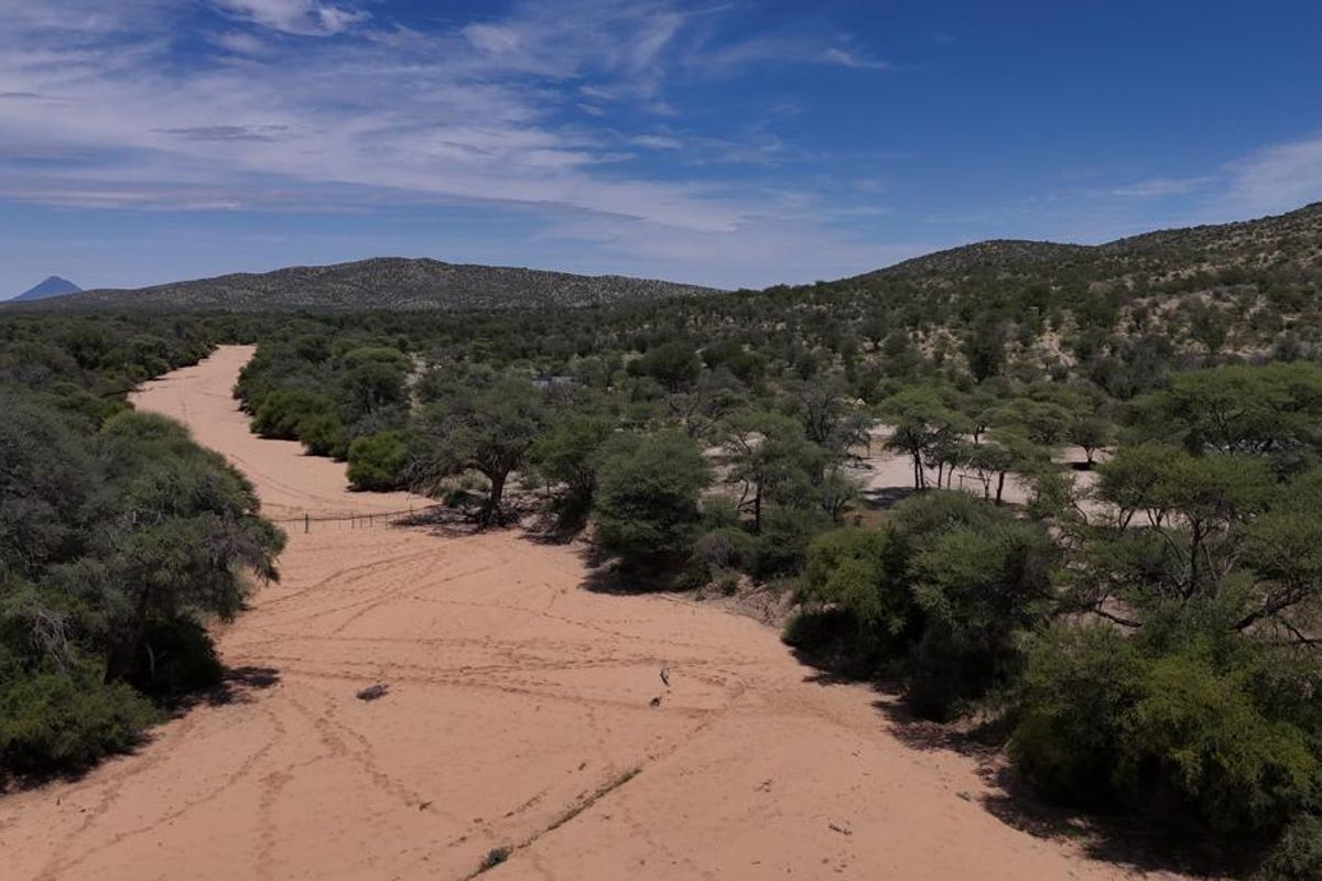 A rare opportunity to own a beautiful and versatile farm with incredible natural features and game - Photo 3