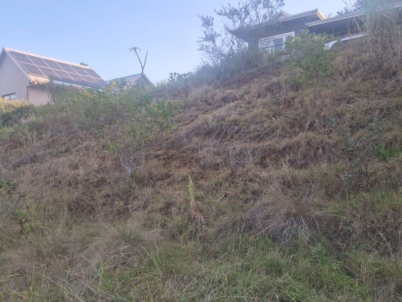 A view of a sloped, undeveloped residential plot featuring natural vegetation, with neighboring properties visible at the top of the incline.