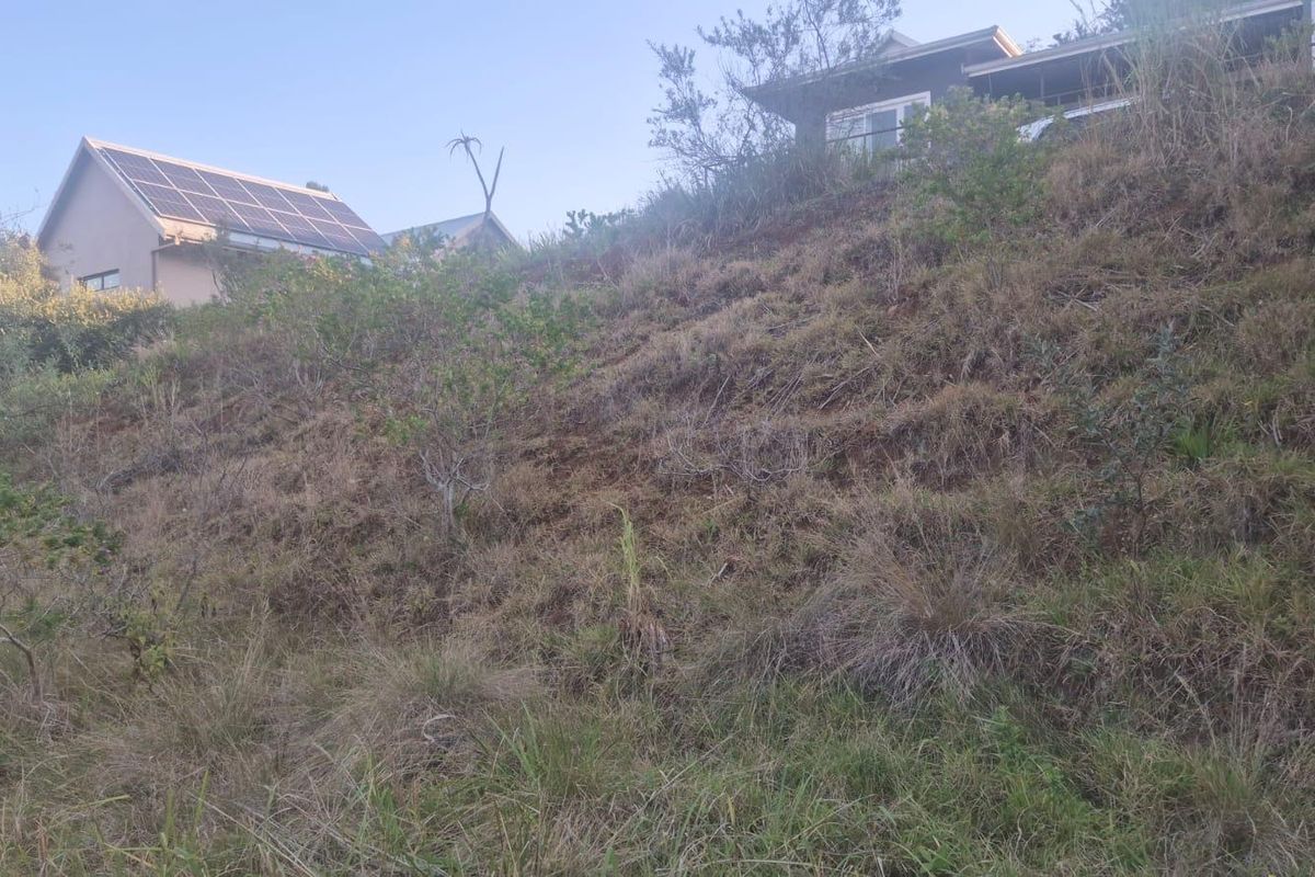 A view of a sloped, undeveloped residential plot featuring natural vegetation, with neighboring properties visible at the top of the incline.