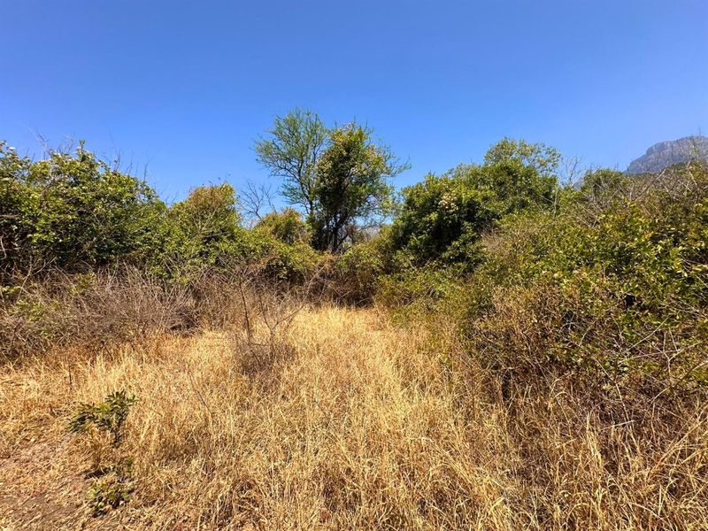 Vacant Stand with Mountain views - Photo 3