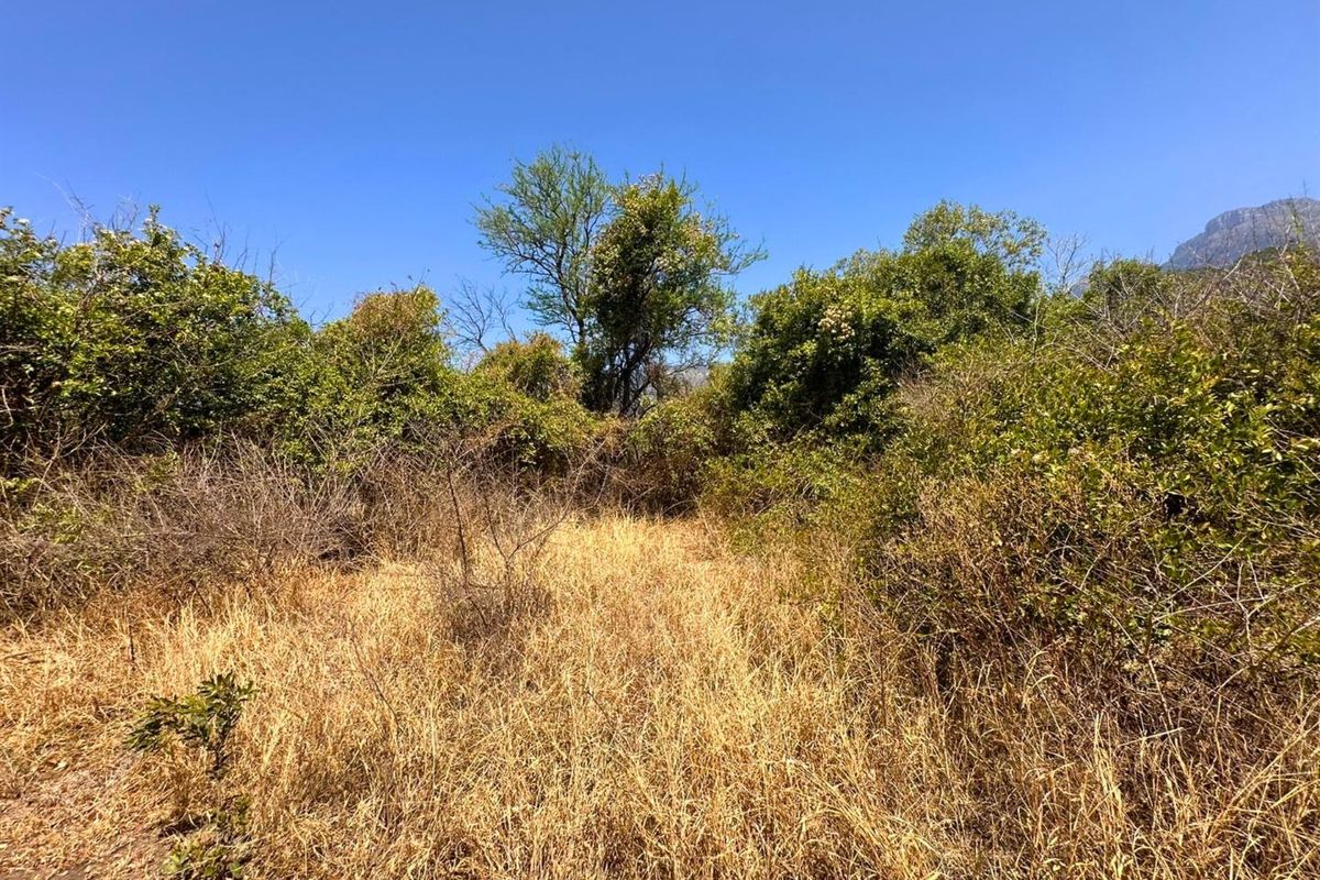 Vacant Stand with Mountain views - Photo 3