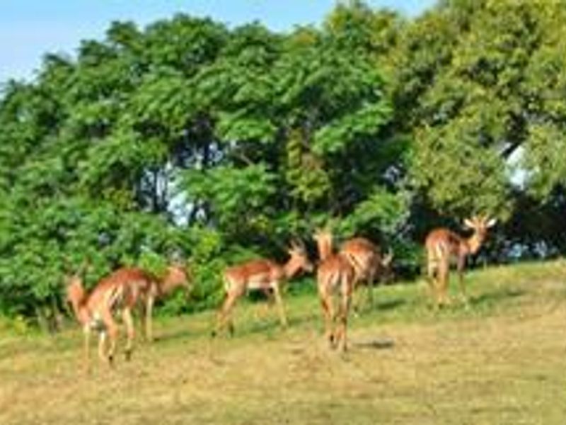 Spacious Vacant land for Sale in Palm Lakes Estate - Photo 8