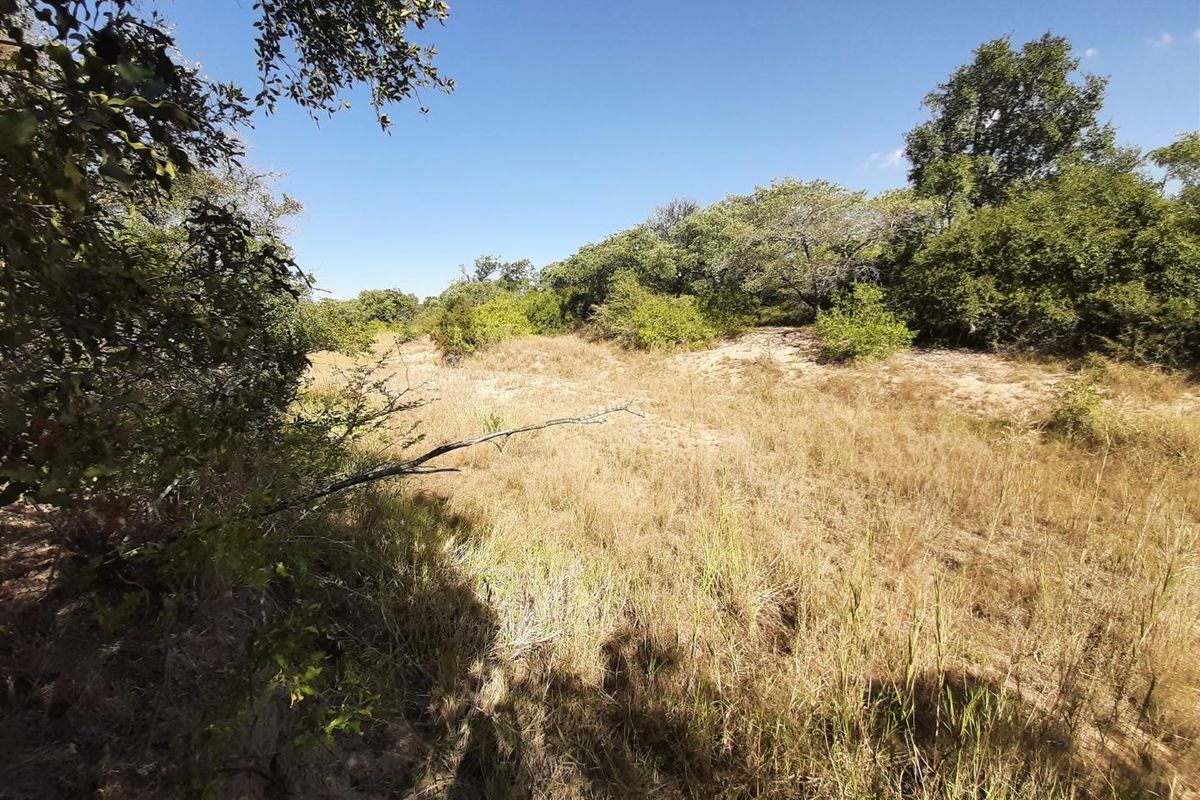 Choose your view! - Photo 3