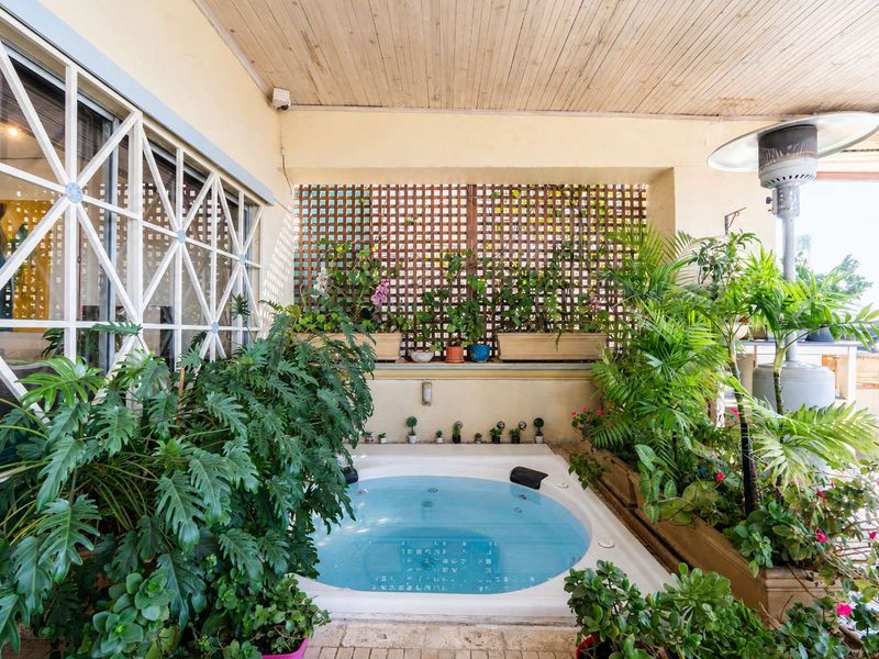 Covered patio area featuring a built-in jacuzzi, timber ceiling, and lattice privacy screening, creating a private outdoor relaxation space.