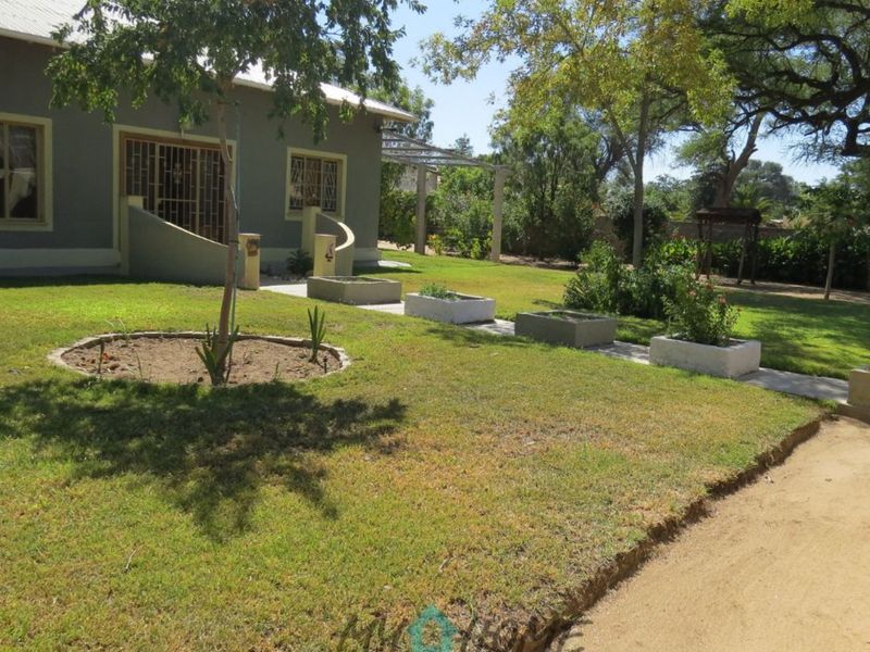A view of the rear garden featuring a lawn, established trees, and concrete planter boxes adjacent to the house exterior.