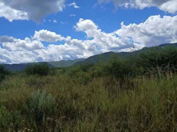 Property #2551758, Vacant Land Agricultural For Sale in Otavi Central