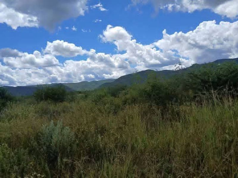 A scenic view of the natural landscape featuring rolling hills and a mountain range under a blue sky with clouds.