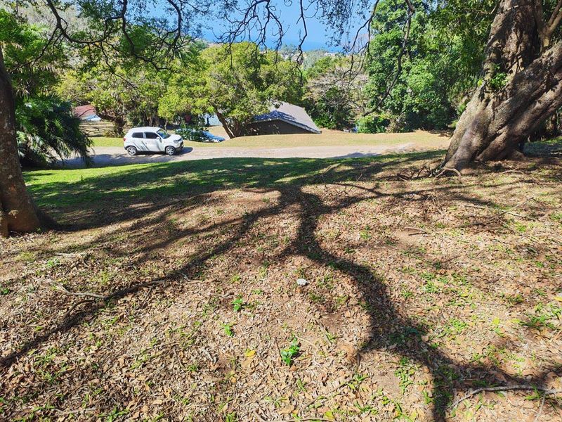 A view of a sloped, tree-covered residential plot with natural landscaping and established trees.