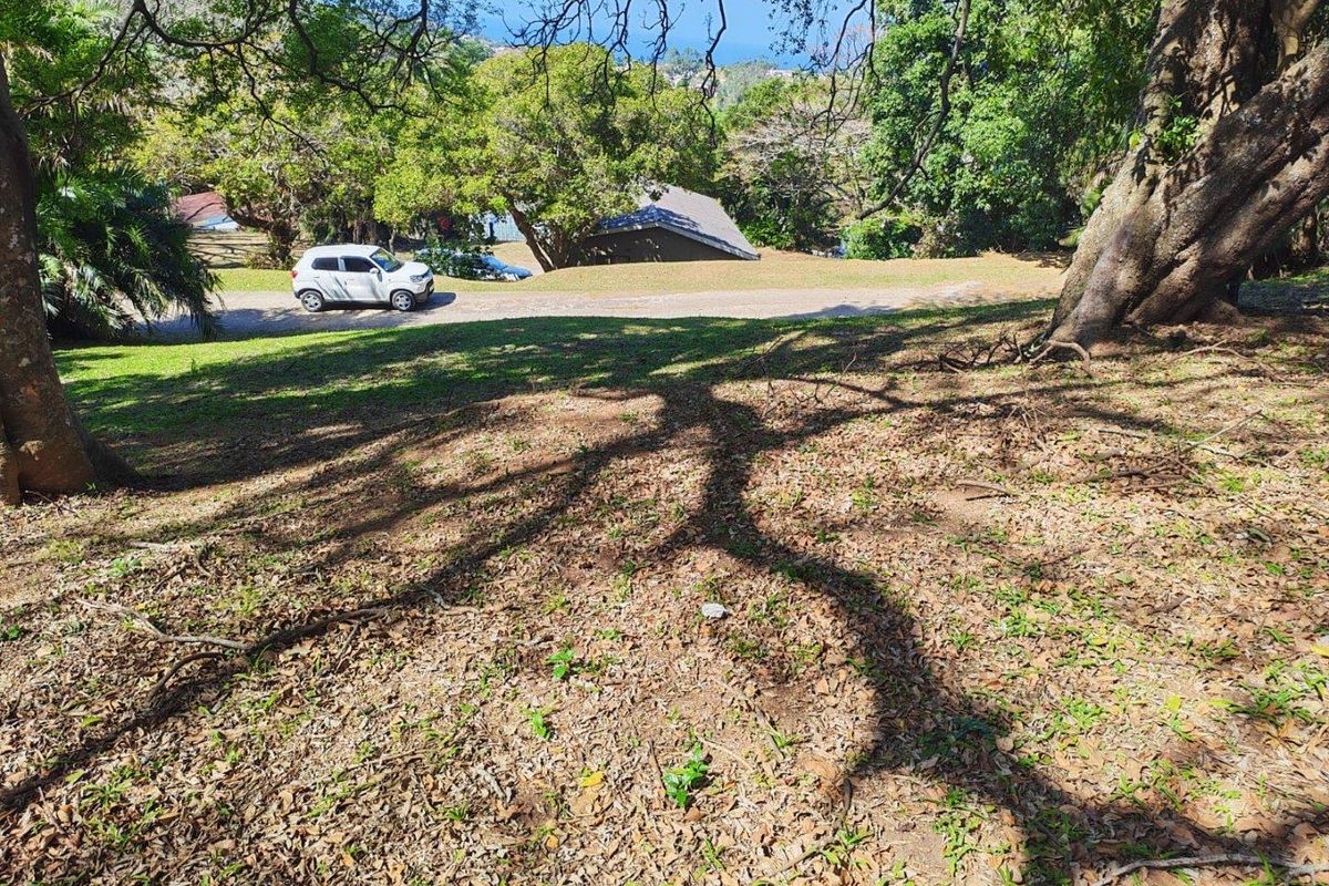 A view of a sloped, tree-covered residential plot with natural landscaping and established trees.