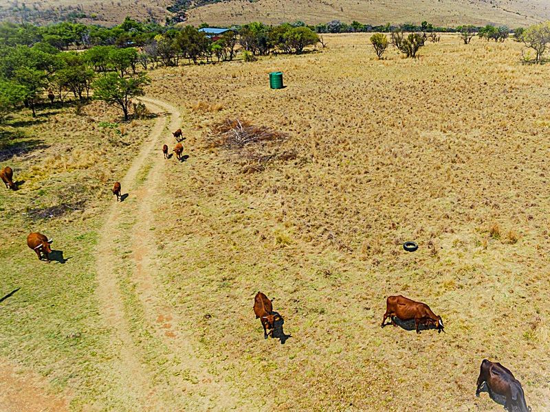 Aerial view of a large farm property featuring open grazing land, a dirt access track, and a water storage tank.