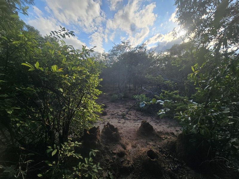 Stand for sale in Moditlo Wildlife Estate - Photo 8