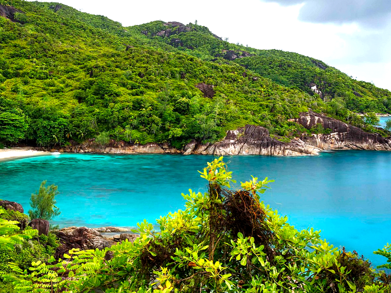 PRISTINE LAND IN UNSPOILT CAP TERNAY - Photo 8
