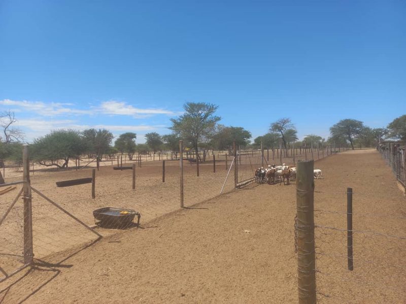 Ozombanda, Okahandja:  Agricultural Smallholding is for Sale - Photo 5