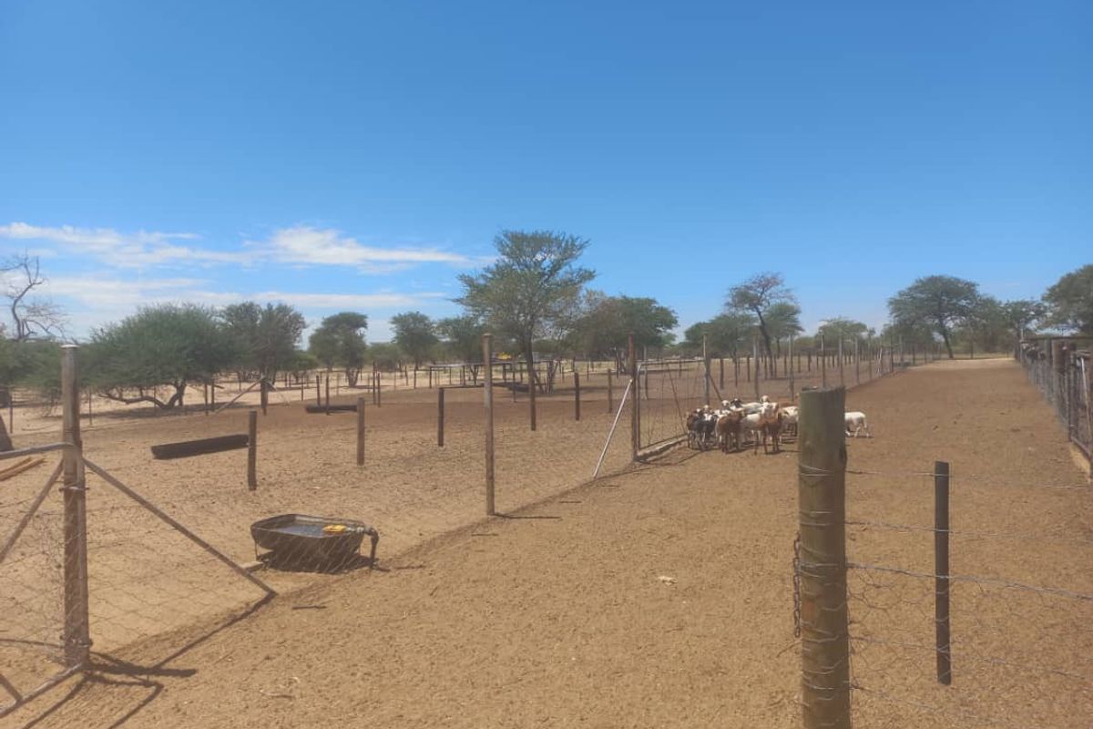 Ozombanda, Okahandja:  Agricultural Smallholding is for Sale - Photo 5