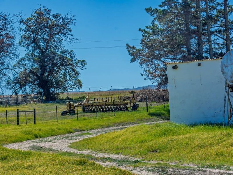 Crop Farm with Registered Irrigation Rights - Photo 7