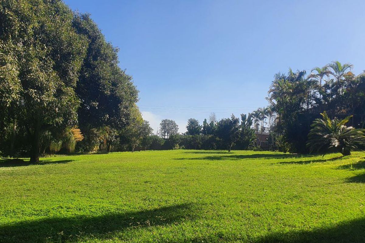 Great investment, smallholding for sale 5-bedroom house, 1 bedroom flat, and stables with endless opportunity. - Photo 4