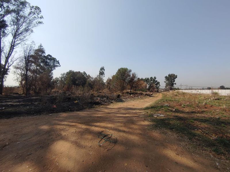 A view of a vacant commercial land plot featuring a dirt access road and perimeter walling, with natural vegetation and some debris present.