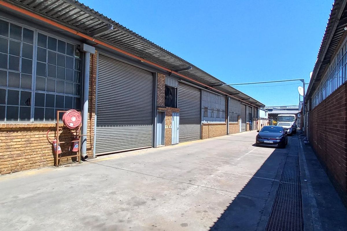 Industrial exterior view featuring multiple roller shutter doors, brick facade, and concrete driveway access with integrated drainage.