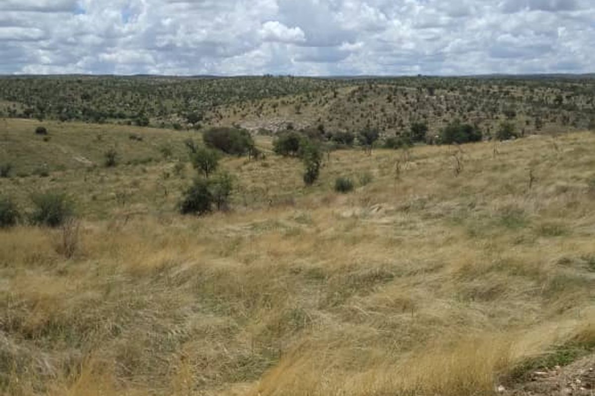 A scenic view of open, undeveloped grassland landscape under a bright, cloudy sky.