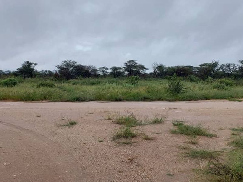 Sprawling 20 Hectare Plots for Sale - Photo 3