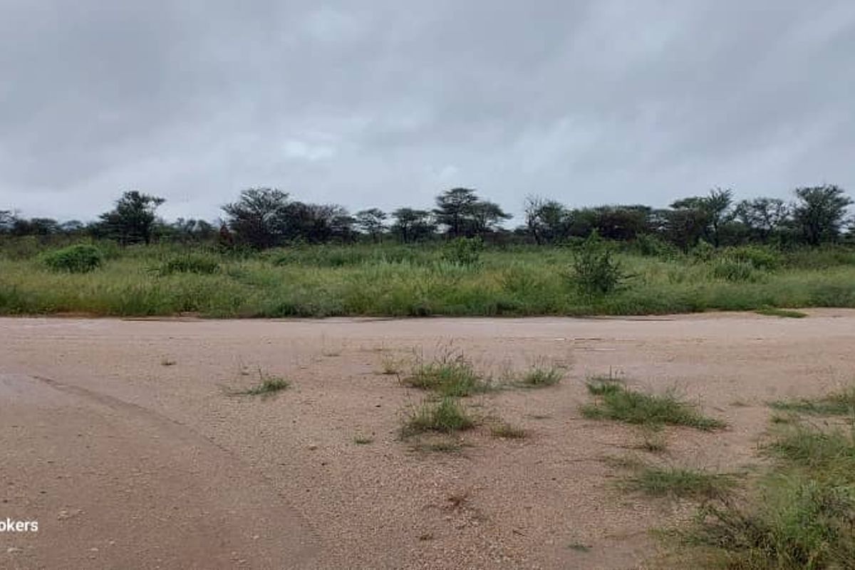 Sprawling 20 Hectare Plots for Sale - Photo 3