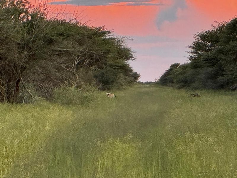 217 Hectares of Peaceful Living - Photo 6