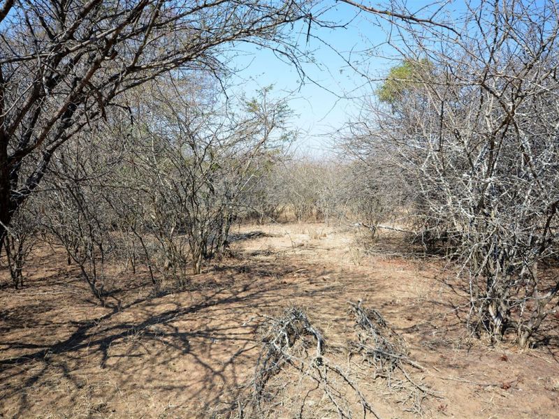 Vacant Land in MODITLO NATURE RESERVE - Photo 8